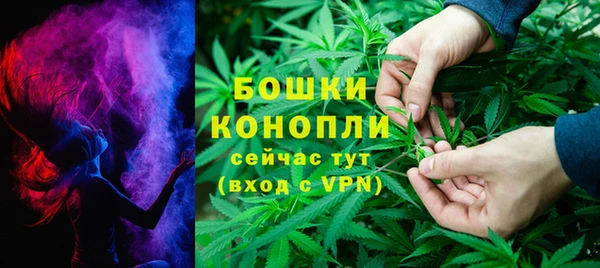 ГАЛЛЮЦИНОГЕННЫЕ ГРИБЫ Балабаново